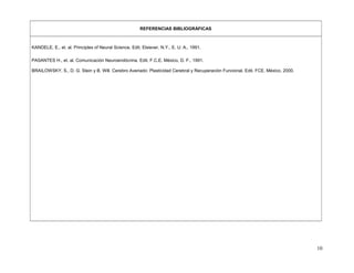 REFERENCIAS BIBLIOGRÁFICAS
KANDELE, E., et. al. Principles of Neural Science. Edit. Elsiever. N.Y., E. U. A., 1991.
PASANTES H., et. al. Comunicación Neuroendócrina. Edit. F.C.E. México, D. F., 1991.
BRAILOWSKY, S., D. G. Stein y B. Will. Cerebro Averiado: Plasticidad Cerebral y Recuperación Funcional. Edit. FCE. México, 2000.
10
 