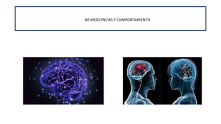 CURSO : NEUROCIENCIAS Y COMPORTAMIENTO
1.- Introducción a la Neurociencias
Docente : Sandra Yessenia Uriol Salvador
NEUROCIENCIAS Y COMPORTAMIENTO
 