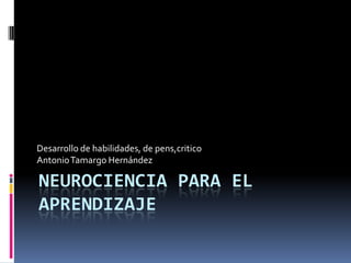 Neurociencia para el aprendizaje Desarrollo de habilidades, de pens,critico                                                     Antonio Tamargo Hernández 