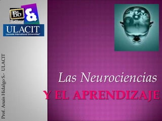 & Las Neurociencias Prof. Anais Hidalgo S.-  ULACIT Y el aprendizaje 