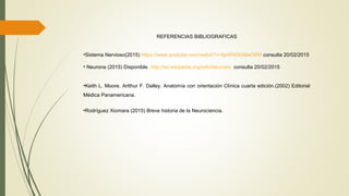REFERENCIAS BIBLIOGRAFICAS
•Sistema Nervioso(2015) https://www.youtube.com/watch?v=9pWW5GMaO0M consulta 20/02/2015
• Neurona (2015) Disponible. http://es.wikipedia.org/wiki/Neurona consulta 20/02/2015
•Keith L. Moore. Artthur F. Dalley. Anatomía con orientación Clínica cuarta edición.(2002) Editorial
Médica Panamericana.
•Rodríguez Xiomara (2015) Breve historia de la Neurociencia.
 