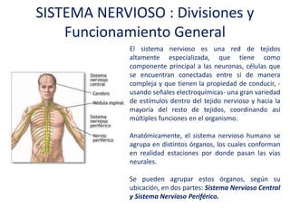 SISTEMA NERVIOSO : Divisiones y
Funcionamiento General
El sistema nervioso es una red de tejidos
altamente especializada, que tiene como
componente principal a las neuronas, células que
se encuentran conectadas entre sí de manera
compleja y que tienen la propiedad de conducir, -
usando señales electroquímicas- una gran
variedad de estímulos dentro del tejido nervioso
y hacia la mayoría del resto de tejidos,
coordinando así múltiples funciones en el
organismo.
Anatómicamente, el sistema nervioso humano se
agrupa en distintos órganos, los cuales
conforman en realidad estaciones por donde
pasan las vías neurales.
Se pueden agrupar estos órganos, según su
ubicación, en dos partes: Sistema Nervioso
Central y Sistema Nervioso Periférico.
 