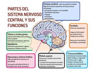 NEUROCIENCIAS
 