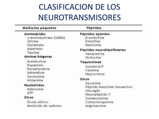CLASIFICACION DE LOS
NEUROTRANSMISORES
 