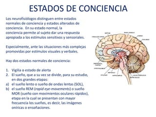 Los neurofisiólogos distinguen entre estados
normales de conciencia y estados alterados de
conciencia. En su estado normal, la
conciencia permite al sujeto dar una respuesta
apropiada a los estímulos sensitivos y sensoriales.
Especialmente, ante las situaciones más complejas
promovidas por estímulos visuales y verbales.
Hay dos estados normales de conciencia:
1. Vigilia o estado de alerta
2. El sueño, que a su vez se divide, para su estudio,
en dos grandes etapas:
a) el sueño lento o sueño de ondas lentas (SOL),
b) el sueño REM (rapid eye-movements) o sueño
MOR (sueño con movimientos oculares rápidos),
etapa en la cual se presentan con mayor
frecuencia los sueños, es decir, las imágenes
oníricas o ensoñaciones.
ESTADOS DE CONCIENCIA
 