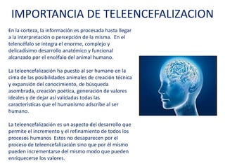 IMPORTANCIA DE TELEENCEFALIZACION
En la corteza, la información es procesada hasta
llegar a la interpretación o percepción de la misma.
En el telencéfalo se integra el enorme, complejo y
delicadísimo desarrollo anatómico y funcional
alcanzado por el encéfalo del animal humano.
La teleencefalización ha puesto al ser humano en la
cima de las posibilidades animales de creación
técnica y expansión del conocimiento, de búsqueda
asombrada, creación poética, generación de valores
ideales y de dejar así validadas todas las
características que el humanismo adscribe al ser
humano.
La teleencefalización es un aspecto del desarrollo
que permite el incremento y el refinamiento de
todos los procesos humanos Estos no desaparecen
por el proceso de teleencefalización sino que por él
mismo pueden incrementarse del mismo modo que
pueden enriquecerse los valores.
 