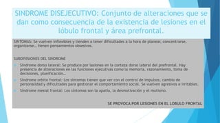 SINDROME DISEJECUTIVO: Conjunto de alteraciones que se
dan como consecuencia de la existencia de lesiones en el
lóbulo frontal y área prefrontal.
SINTOMAS: Se vuelven inflexibles y tienden a tener dificultades a la hora de planear, concentrarse,
organizarse… tienen pensamientos obsesivos.
SUBDIVISIONES DEL SINDROME
 Síndrome dorso lateral: Se produce por lesiones en la corteza dorso lateral del prefrontal. Hay
presencia de alteraciones en las funciones ejecutivas como la memoria, razonamiento, toma de
decisiones, planificación…
 Síndrome orbito frontal: Los síntomas tienen que ver con el control de impulsos, cambio de
personalidad y dificultades para gestionar el comportamiento social. Se vuelven agresivos e irritables.
 Síndrome mesial frontal: Los síntomas son la apatía, la desmotivación y el mutismo.
SE PROVOCA POR LESIONES EN EL LOBULO FRONTAL
 