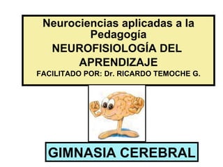 Neurociencias aplicadas a la Pedagogía NEUROFISIOLOGÍA DEL  APRENDIZAJE FACILITADO POR: Dr. RICARDO TEMOCHE G. GIMNASIA CEREBRAL 