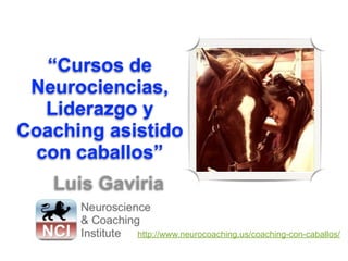“Cursos de
Neurociencias,
Liderazgo y
Coaching asistido
con caballos”
Luis Gaviria
http://www.neurocoaching.us/coaching-con-caballos/
 