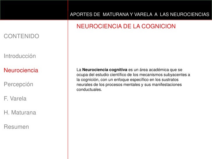 Aportacion de la filosofia conceptual a la neurociencia cognitiva spanish edition