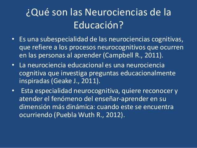 Neurociencia curso