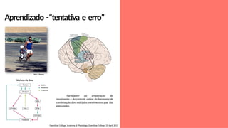 Aprendizado -“tentativa e erro”
Bob n Renee
Núcleos da Base
OpenStax College, Anatomy & Physiology. OpenStax College. 25 April 2013
Participam da preparação do
movimento e do controle online da harmonia de
combinação dos múltiplos movimentos que são
executados.
 