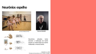 Neurônios espelho
Air Force Medical Service Giacomo Rizzolatti
Rizzolatti et al. (1996)
Princípios de Neurociências. Eric R. Kandel. 5a Edição.
Neurônios ativados tanto
durante a realização da tarefa
quanto na observação de outros
realizando a mesma tarefa.
 