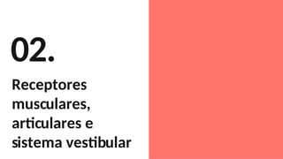 02.
Receptores
musculares,
articulares e
sistema vestibular
 