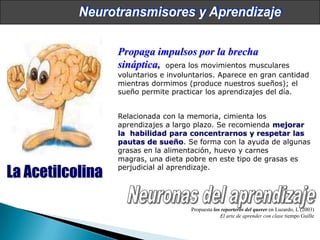 Neurociencias en el aula Slide 37