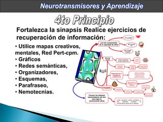 Neurociencias en el aula Slide 48