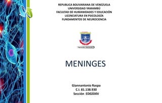 MENINGES
REPUBLICA BOLIVARIANA DE VENEZUELA
UNIVERSIDAD YAMAMBÚ
FACULTAD DE HUMANIDADES Y EDUCACIÓN
LICENCIATURA EN PSICOLOGÍA
FUNDAMENTOS DE NEUROCIENCIA
Giannantonio Raspa
C.I. 81.138.930
Sección ED02D0V
 