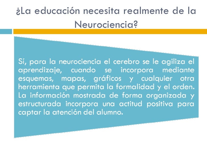 Neurociencia curso