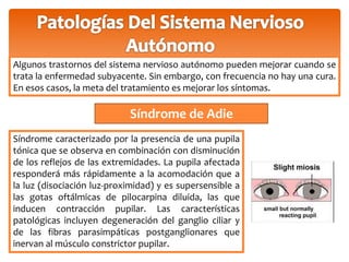Algunos trastornos del sistema nervioso autónomo pueden mejorar cuando se 
trata la enfermedad subyacente. Sin embargo, con frecuencia no hay una cura. 
En esos casos, la meta del tratamiento es mejorar los síntomas. 
Síndrome de Adie 
Síndrome caracterizado por la presencia de una pupila 
tónica que se observa en combinación con disminución 
de los reflejos de las extremidades. La pupila afectada 
responderá más rápidamente a la acomodación que a 
la luz (disociación luz-proximidad) y es supersensible a 
las gotas oftálmicas de pilocarpina diluida, las que 
inducen contracción pupilar. Las características 
patológicas incluyen degeneración del ganglio ciliar y 
de las fibras parasimpáticas postganglionares que 
inervan al músculo constrictor pupilar. 
