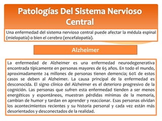 Una enfermedad del sistema nervioso central puede afectar la médula espinal 
(mielopatía) o bien el cerebro (encefalopatía). 
Alzheimer 
La enfermedad de Alzheimer es una enfermedad neurodegenerativa 
encontrada típicamente en personas mayores de 65 años. En todo el mundo, 
aproximadamente 24 millones de personas tienen demencia; 60% de estos 
casos se deben al Alzheimer. La causa principal de la enfermedad es 
desconocida. El signo clínico del Alzheimer es el deterioro progresivo de la 
cognición. Las personas que sufren esta enfermedad tienden a ser menos 
energéticos y espontáneos, muestran pérdidas mínimas de la memoria, 
cambian de humor y tardan en aprender y reaccionar. Esas personas olvidan 
los acontecimientos recientes y su historia personal y cada vez están más 
desorientados y desconectados de la realidad. 
 