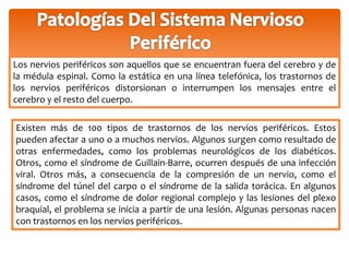 Los nervios periféricos son aquellos que se encuentran fuera del cerebro y de 
la médula espinal. Como la estática en una línea telefónica, los trastornos de 
los nervios periféricos distorsionan o interrumpen los mensajes entre el 
cerebro y el resto del cuerpo. 
Existen más de 100 tipos de trastornos de los nervios periféricos. Estos 
pueden afectar a uno o a muchos nervios. Algunos surgen como resultado de 
otras enfermedades, como los problemas neurológicos de los diabéticos. 
Otros, como el síndrome de Guillain-Barre, ocurren después de una infección 
viral. Otros más, a consecuencia de la compresión de un nervio, como el 
síndrome del túnel del carpo o el síndrome de la salida torácica. En algunos 
casos, como el síndrome de dolor regional complejo y las lesiones del plexo 
braquial, el problema se inicia a partir de una lesión. Algunas personas nacen 
con trastornos en los nervios periféricos. 
 