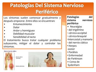 Los síntomas suelen comenzar gradualmente y 
después empeorar. Entre ellos se encuentran: 
• Entumecimiento 
• Dolor 
• Ardor u hormigueo 
• Debilidad muscular 
• Sensibilidad al tacto 
El tratamiento busca tratar cualquier problema 
subyacente, mitigar el dolor y controlar los 
síntomas. 
Patologías del 
sistema nervioso 
periférico 
• Neuralgias 
◦ del trigémino 
◦ cérvico-occipital 
◦ cérvico-braquial 
◦intercostal y mamaria 
◦ del nervio ciático 
• Herpes 
zoster 
• Parálisis 
• Enfermedad 
de Parkinson 
• Corea de 
Sydenham 
 