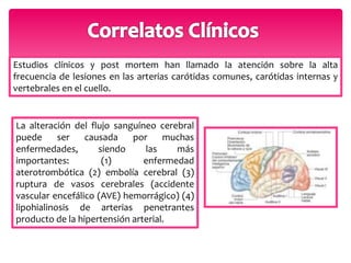 Estudios clínicos y post mortem han llamado la atención sobre la alta 
frecuencia de lesiones en las arterias carótidas comunes, carótidas internas y 
vertebrales en el cuello. 
La alteración del flujo sanguíneo cerebral 
puede ser causada por muchas 
enfermedades, siendo las más 
importantes: (1) enfermedad 
aterotrombótica (2) embolía cerebral (3) 
ruptura de vasos cerebrales (accidente 
vascular encefálico (AVE) hemorrágico) (4) 
lipohialinosis de arterias penetrantes 
producto de la hipertensión arterial. 
 