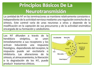 La cantidad de NT en las terminaciones se mantiene relativamente constante e 
independiente de la actividad nerviosa mediante una regulación estrecha de su 
síntesis. Este control varía de unas neuronas a otras y depende de la 
modificación en la captación de sus precursores y de la actividad enzimática 
encargada de su formación y catabolismo. 
Los NT difunden a través de la 
hendidura sináptica, se unen 
inmediatamente a sus receptores y los 
activan induciendo una respuesta 
fisiológica, dependiendo del receptor, la 
respuesta puede ser excitatoria o 
inhibitoria. Las alteraciones de la 
síntesis, el almacenamiento, la liberación 
o la degradación de los NT, puede 
producir trastornos clínicos. 
 