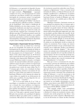 Rev Neurocienc 2007;15/3:226–233 228
revisão
de Schwann, e a recuperação irá depender do grau
de desorganização do nervo e também da distância
do órgão terminal; c) Neurotmese — separação
completa do nervo, com desorganização do axônio
causada por uma fibrose tecidual com conseqüente
interrupção do crescimento axonal. A recuperação
espontânea é pobre sem intervenção cirúrgica2,3
.
Além da classificação de Seddon13
, há uma ou-
tra conhecida pouco utilizada na prática, a classifica-
ção de Sunderland14
. Este refinou a classificação de
Seddon dividindo-a em cinco tipos ou graus. A neu-
ropraxia foi classificada como tipo I; já a axonotmese
foi dividida em três tipos, que variam de acordo com
o grau da lesão, enquanto que a neurotmese foi clas-
sificada como tipo 5. É raramente possível, através da
classificação de Sunderland, classificar com exatidão
uma lesão axonotmética com base em dados clínicos e
eletromiográficos. O subtipo é geralmente discriminá-
vel pelo exame histológico da lesão do nervo2,4
.
Degeneração e Regeneração Nervosa Periférica
Um dano severo no axônio leva à interrup-
ção de sua integridade. Os axônios do coto proxi-
mal degeneram de maneira retrógrada até chegar ao
próximo nódulo de Ranvier do local da lesão, crian-
do uma pequena área de degeneração4,15
. As fibras
distais à lesão sofrem degeneração em 48–96 horas
após a transecção do nervo, por meio de um processo
conhecido como degeneração Walleriana4
. A dege-
neração Walleriana conduz à remoção e reciclagem
axonal e do material mielínico-derivado e prepara o
ambiente através do qual os axônios em regeneração
irão crescer7,16
. Lesões próximas ao corpo do neurô-
nio podem levar à morte do corpo celular. Nas 2a
e
3a
semanas após a lesão, com a instalação da dege-
neração Walleriana, iniciam-se mecanismos de mu-
danças no corpo celular, que podem ser estruturais e
funcionais. Primeiro, ocorre aumento do volume do
corpo celular, em seguida há um deslocamento do
núcleo para a periferia, há uma dispersão dos cor-
púsculos de Nissl — Cromatólise7,11
.
No 2o
ou no mais tardar do 4o
ao 7o
dia, os
macrófagos se acumulam no coto distal para reali-
zar a remoção dos restos mielínicos em degenera-
ção e, mais tarde, células de Schwann se proliferam
para também desempenhar o papel de fagocitose15
.
A proliferação de células de Schwann no coto distal
ocorre em 3 dias após a agressão axonal. Essa pro-
liferação está associada com a produção de algumas
substâncias difusas que podem atrair os axônios em
crescimento. Mecanismos de orientação e regulação
do crescimento axonal são conhecidos como Neuro-
tropismo ou Quimiotaxia11
. Com a extrusão inicial
da bainha de mielina, as células de Schwann são esti-
muladas a proliferarem e a dividirem-se no máximo
em 3 dias, alinhando-se dentro do tubo de lâmina
basal para formar as bandas de Büngner, que mais
tarde irão fornecer um caminho para as fibras do
nervo em regeneração7
.
Mudanças estruturais e funcionais ocorrem no
coto proximal nos primeiros dias ou semanas após a
transecção do tronco do nervo. Seus axônios passam
a produzir um grande número de brotos colaterais e
terminais, que irão competir entre si em busca de subs-
tâncias tróficas fornecidas pelos órgãos-alvo, que estão
no coto distal e, por fim, realizar suas conexões. Ao ní-
vel distal de cada broto axonal, encontram-se filopódios
ricos em actina, de onde surge uma protuberância cha-
mada cone de crescimento. Devido ao excesso de brotos
que invadem as colunas de Büngner, o número total
de axônios no coto distal pode exceder ao número de
axônios em crescimento. Com o tempo, esse número
decai a partir do instante em que os brotos fazem suas
conexões com os órgãos-alvo, devido a um fenômeno
conhecido como repressão sináptica11,17
. Em experi-
mentos com animais, tem-se demonstrado que há um
crescimento axonal de 2,0 a 3,5 mm/dia em lesões do
tipo neurotmese e de 3,0 a 4,5 mm/dia nas do tipo axo-
notmese. Em humanos, a taxa de crescimento axonal
não é linear, estima-se que a taxa de crescimento seja
de aproximadamente 1 a 2 mm/dia11
.
Para que ocorra o crescimento do cone, faz-
se necessária a presença de substâncias que auxiliem
na sobrevivência, extensão e maturação do axônio.
Essas substâncias são os fatores de crescimento, que
agem por meio de receptores específicos. Embora o
fator de crescimento tenha um papel importante na
regeneração axonal, a interação entre membrana da
célula de Schwann e o cone de crescimento se dá
pelas Moléculas de Adesão Celular (CAMS)18
. O pri-
meiro fator de crescimento identificado foi o Fator de
Crescimento Nervoso (Nerve Growth Factor — NGF),
que possui em sua família, denominada de neuro-
trofinas, outros fatores como: BDNF, NT-3, NT-4/5,
NT-6, NT-7. Vale ressaltar a existência dos fatores de
crescimento CNTF, MNGF e GDNF4,19,20
.
Num segundo estágio, como conseqüência
da degeneração Walleriana, os músculos começam
a diminuir de volume já na primeira semana, apre-
sentando uma atrofia progressiva das fibras e uma
substituição por tecido conjuntivo. Histologicamen-
te, há um decréscimo no volume da fibra muscular
 