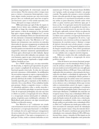 Rev Neurocienc 2007;15/3:226–233 230
revisão
caminhos inapropriados de reinervação axonal de
nervos mistos. Não há consenso sobre o tempo exato
para se iniciar o tratamento fisioterapêutico, entre-
tanto alguns estudos mostram que uma intervenção
precoce deve ser realizada para uma boa recupera-
ção funcional e para se evitar atrofia muscular, neu-
romas, alterações no mapa cortical etc24
.
Millesi preconiza que após 8 dias do reparo ci-
rúrgico deve-se iniciar uma cuidadosa mobilização e
progredir ao longo das semanas seguintes10
. Para al-
guns autores, o início do tratamento se faz necessário
logo após o reparo cirúrgico. Al-Majed et al.24
, em um
estudo com estimulação elétrica de músculo denervado
de rato, iniciaram o tratamento imediatamente após o
reparo cirúrgico do nervo. Van Meeteren et al.25
rea-
lizaram um treinamento com exercícios em músculos
denervados de ratos por esmagamento no primeiro dia
pós-operatório. Pachter e Eberstein26
, em estudo com
exercício passivo em músculo de rato denervado por es-
magamento, iniciaram tratamento aproximadamente
24 horas após a denervação ter sido realizada. Apesar
de os estudos terem sido realizados com animais e não
com humanos, sugere-se que a intervenção seja a mais
precoce possível, sempre respeitando a equipe muldis-
ciplinar envolvida no caso.
Lee e Wolfe4
relatam que, em uma extremida-
de denervada, os objetivos pré-operatórios são prote-
ger e manter a amplitude de movimento, a fim de ser
funcional quando reinervada. As talas são úteis para
prevenir contraturas e deformidades. As mobilizações
são necessárias enquanto se espera a regeneração axo-
nal e ajudam a manter o fluxo sangüíneo e linfático e
prevenir aderência do tendão. A extremidade deve ser
mantida aquecida, pois a exposição ao frio danifica o
músculo e leva a uma fibrose. Uma cuidadosa banda-
gem protege e limita a congestão venosa e o edema.
A estimulação galvânica reduz a atrofia muscular e
pode ser um benefício psicológico ao paciente durante
a fase de recuperação prolongada, mas não está claro
se obtém ou acelera a recuperação do nervo. Duran-
te a recuperação motora inicial pode ser utilizada a
piscina terapêutica para mobilizações articulares. O
Biofeedback pode promover um input sensorial para
facilitar a reeducação motora.
Van Meeteren et al.25
realizaram um estudo
comtreinamentoatravésdeexercícios,comoobjetivo
de promover a recuperação funcional e a velocidade
de condução do nervo após lesão por esmagamento
do nervo ciático do rato. O exercício teve início no 1o
dia pós-operatório (1a
fase após o esmagamento) e se-
guiu por 24 dias, sendo os animais induzidos ao trei-
namento por 24 horas. Os animais foram divididos
em 2 grupos, sendo um grupo treinado e um grupo
controle. Nas gaiolas dos animais a serem treinados
foram colocadas garrafas de água suspensas induzin-
do os animais a se exercitarem levantando ao máxi-
mo ambas as patas dianteiras, ficando assim eretos
sobre as patas traseiras para beberem água por 4
horas ao dia. A recuperação motora foi monitorada
através de uma análise de um padrão de marcha e a
recuperação sensorial através de um teste de retira-
da da pata, aplicando corrente elétrica na planta da
pata. Os autores concluíram que 4 horas de exercí-
cio diário suave aumenta a recuperação funcional na
primeira fase após o esmagamento do nervo, e que
o treinamento com exercícios acelera as respostas de
brotamento do neurônio motor e diminui o tempo
de latência (intervalo entre a lesão axonal e a respos-
ta de brotamento), e que foi possível adquirir retorno
da função sensório-motora. Seus efeitos persistiram
numa fase tardia, mas ressalta-se a necessidade de se
ter um cuidado com a carga de exercício imposta.
Diferentes estudos têm sido conduzidos para
melhor obter ou acelerar a recuperação do nervo
periférico lesado.
A fim de fornecer um retorno funcional, pesqui-
sas apontam para o uso da estimulação elétrica no pro-
cesso de acelerar a reinervação. Brushart et al.27
realiza-
ram um estudo no nervo femoral do rato com aplicação
de estimulação elétrica a 20 Hz por 1 hora, onde foram
explorados dois mecanismos: a sincronização da reiner-
vação do coto distal e a velocidade de regeneração. Tal
estudo concluiu que a estimulação elétrica promove o
início da regeneração do axônio motor sem aumentar
a sua velocidade. Para um bom resultado no reparo do
nervo, inicia-se com a estimulação elétrica que recruta
todos os motoneurônios através do reparo e segue-se
com outros tratamentos para prolongar o crescimento
axonal. Períodos prolongados desde a denervação até a
reinervação diminuem a habilidade dos músculos em
recuperar massa e força, mas a estimulação elétrica du-
rante o período de denervação pode permitir a recupe-
ração da função motora de acordo com a reinervação.
Complicações secundárias à lesão, como a atrofia por
desuso, podem ser prevenidas com a estimulação elétri-
ca. Dow et al.28
realizaram um estudo para avaliar o nú-
mero necessário de contrações através de estimulação
elétrica para manter massa e força do músculo dener-
vado do rato. Os autores concluíram que protocolos de
estimulação com contrações diárias de 200 a 800 man-
tiveram força, massa e tamanho de fibra iguais aos do
músculo controle e foram designados como protocolos
 