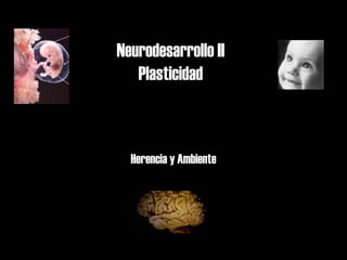Neurodesarrollo II
Plasticidad

Herencia y Ambiente

 