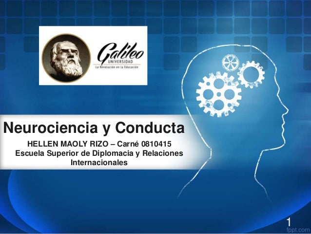 Neurociencia curso