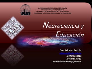 Neurociencia y
Educación
UNIVERSIDAD RAFAEL BELLOSO CHACÍN
VICERRECTORADO ACADÉMICO
DECANATO DE INVESTIGACIÓN Y POSTGRADO
PROGRAMA DOCTORAL CIENCIAS DE LA EDUCACIÓN
Dra. Adriana Boscán
aiboscan@urbe.edu.ve
(0426) 5660217
(0414) 6620751
neurodidacticas.blogspot.com
 