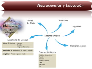 Neurociencias y Educación

Neurociencia

Emociones

Sentido
del Olfato

Seguridad

y
Educación

Sistema Límbico
Mecanismo del Mensaje
Tálamo  Hipófisis  Huesos
Tiroides
Órganos Sexuales

Memoria Sensorial

Hipotálamo  Temperatura  Sudor – titiriteo
Amígdala  Percibe y genera miedo

Procesos fisiológicos
Hábitos Alimenticio
Sueño
Presión
Ritmo Cardíaco
Sed
Agresión
Ira

 