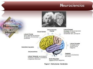 Neurociencias

Neurociencia
y
Educación

 