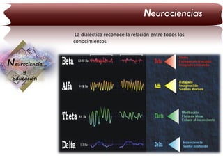 Neurociencias
La dialéctica reconoce la relación entre todos los
conocimientos

Neurociencia
y
Educación

 