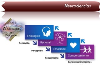 Neurociencias

Neurociencia
y
Educación

Sensación
Percepción

Pensamiento
Conductas Inteligentes

 