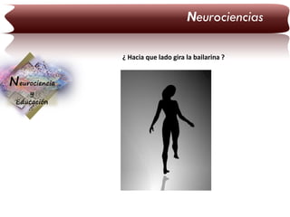 Neurociencias
¿ Hacia que lado gira la bailarina ?

Neurociencia
y
Educación

 