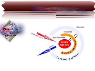 Neurociencia
y
Educación

 