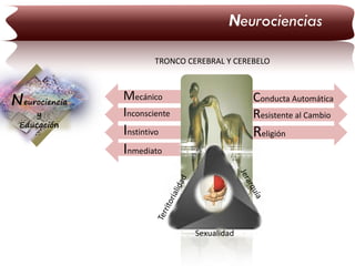 Neurociencias
TRONCO CEREBRAL Y CEREBELO

Neurociencia
y
Educación

Mecánico
Inconsciente

Conducta Automática
Resistente al Cambio

Instintivo
Inmediato

Religión

Sexualidad

 