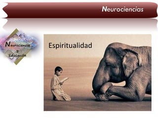 Neurociencias

Neurociencia
y
Educación

Espiritualidad

 
