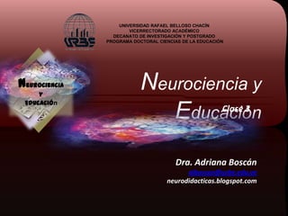 UNIVERSIDAD RAFAEL BELLOSO CHACÍN
VICERRECTORADO ACADÉMICO
DECANATO DE INVESTIGACIÓN Y POSTGRADO
PROGRAMA DOCTORAL CIENCIAS DE LA EDUCACIÓN

Neurociencia
y
Educación

Neurociencia y
Clase 3
Educación
Dra. Adriana Boscán
aiboscan@urbe.edu.ve
neurodidacticas.blogspot.com

 