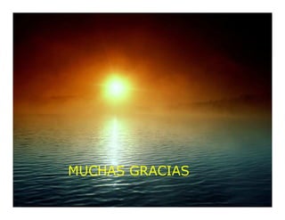 MUCHAS GRACIAS
 