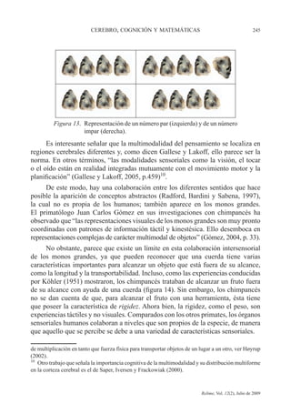 CEREBRO, COGNICIÓN Y MATEMÁTICAS 245
Relime, Vol. 12(2), Julio de 2009
Es interesante señalar que la multimodalidad del pensamiento se localiza en
regiones cerebrales diferentes y, como dicen Gallese y Lakoff, ello parece ser la
norma. En otros términos, “las modalidades sensoriales como la visión, el tocar
o el oído están en realidad integradas mutuamente con el movimiento motor y la
planificación” (Gallese y Lakoff, 2005, p.459)10
.
De este modo, hay una colaboración entre los diferentes sentidos que hace
posible la aparición de conceptos abstractos (Radford, Bardini y Sabena, 1997),
la cual no es propia de los humanos; también aparece en los monos grandes.
El primatólogo Juan Carlos Gómez en sus investigaciones con chimpancés ha
observado que “las representaciones visuales de los monos grandes son muy pronto
coordinadas con patrones de información táctil y kinestésica. Ello desemboca en
representaciones complejas de carácter multimodal de objetos” (Gómez, 2004, p. 33).
No obstante, parece que existe un límite en esta colaboración intersensorial
de los monos grandes, ya que pueden reconocer que una cuerda tiene varias
características importantes para alcanzar un objeto que está fuera de su alcance,
como la longitud y la transportabilidad. Incluso, como las experiencias conducidas
por Köhler (1951) mostraron, los chimpancés trataban de alcanzar un fruto fuera
de su alcance con ayuda de una cuerda (figura 14). Sin embargo, los chimpancés
no se dan cuenta de que, para alcanzar el fruto con una herramienta, ésta tiene
que poseer la característica de rigidez. Ahora bien, la rigidez, como el peso, son
experiencias táctiles y no visuales. Comparados con los otros primates, los órganos
sensoriales humanos colaboran a niveles que son propios de la especie, de manera
que aquello que se percibe se debe a una variedad de características sensoriales.
de multiplicación en tanto que fuerza física para transportar objetos de un lugar a un otro, ver Høyrup
(2002).
10
Otro trabajo que señala la importancia cognitiva de la multimodalidad y su distribución multiforme
en la corteza cerebral es el de Saper, Iversen y Frackowiak (2000).
Figura 13. Representación de un número par (izquierda) y de un número
impar (derecha).
 