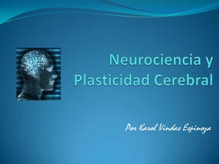Neurociencia y Plasticidad Cerebral Por Karol Vindas Espinoza 