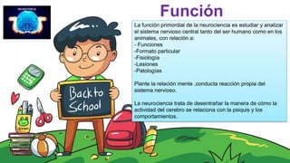 Función
La función primordial de la neurociencia es estudiar y analizar
el sistema nervioso central tanto del ser humano como en los
animales, con relación a:
- Funciones
-Formato particular
-Fisiología
-Lesiones
-Patologías
Plante la relación mente ,conducta reacción propia del
sistema nervioso.
La neurociencia trata de desentrañar la manera de cómo la
actividad del cerebro se relaciona con la psiquis y los
comportamientos.
 