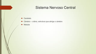 Sistema Nervoso Central
 Cerebelo
 Cérebro – crânio, estrutura que abriga o cérebro
 Medula
 