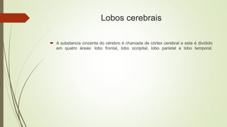 Lobos cerebrais
 A substancia cinzenta do cérebro é chamada de córtex cerebral e este é dividido
em quatro áreas: lobo frontal, lobo occipital, lobo parietal e lobo temporal.
 
