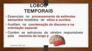 Neuropsicóloga GISELE CALIA
LOBOS
TEMPORAIS
• Essenciais no processamento de estímulos
sensoriais recebidos de olhos e ouvidos.
• Auxiliam na coordenação do discurso e na
orientação espacial
• Contém as estruturas do cérebro responsáveis
pela memória de longo prazo.
 