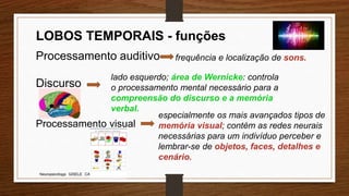 Neuropsicóloga GISELE CALIA
LOBOS TEMPORAIS - funções
Processamento auditivo frequência e localização de sons.
Discurso
lado esquerdo; área de Wernicke: controla
o processamento mental necessário para a
compreensão do discurso e a memória
verbal.
Processamento visual
especialmente os mais avançados tipos de
memória visual; contém as redes neurais
necessárias para um indivíduo perceber e
lembrar-se de objetos, faces, detalhes e
cenário.
 